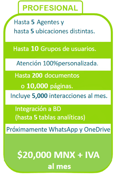 profesional